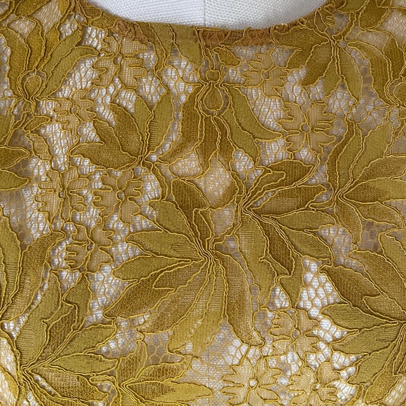 Zara lace top - Picture 6 of 7